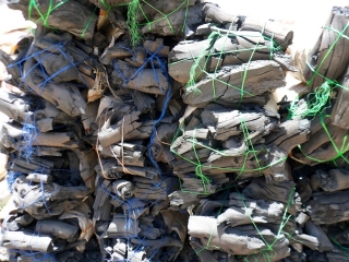 The charcoal trade is adding to Somalia's drought woes